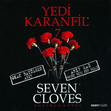 Şu Uzun Gecenin Gecesi Olsam-cover