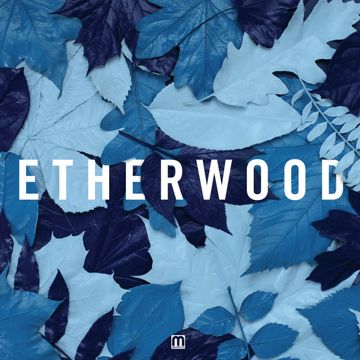 Blue Leaves-cover