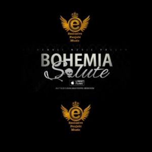 Salute-cover