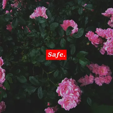 I'll Keep You Safe-cover