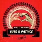 Want It Back (L&039;Entourloop &amp; Troy Berkley Remix)-cover