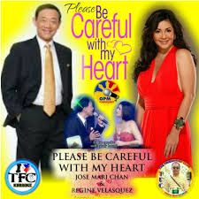  Please Be Careful With My Heart-cover
