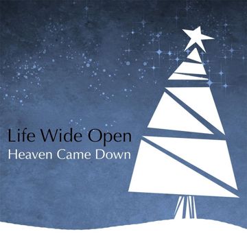 Heaven Came Down / O What A Wonderful, Wonderful Day-cover