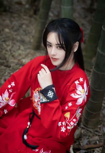 Tam bái hồng trần lương _lời việt