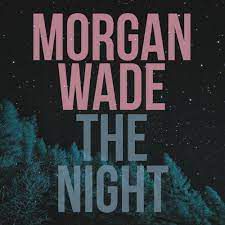 the night [morgan wade acoustic]-cover