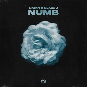 Numb-cover