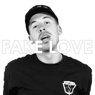 Fake Love-cover