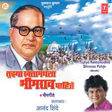 TUJHYA RAKTAMADHLA-cover