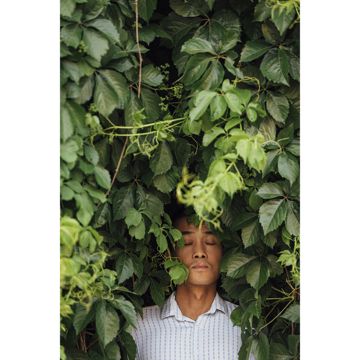 社会主义好-cover