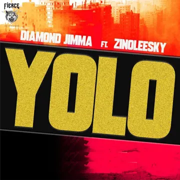 Yolo-cover