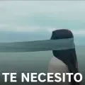 Te Necesito
