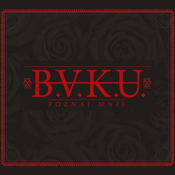 Bokutachino Hajimari(LIVE VERSION)-cover