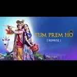 Tum Prem Ho (Reprise)-cover