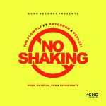 No Shaking-cover