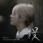 불꽃-cover