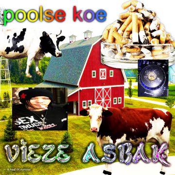 Polish Cow-cover