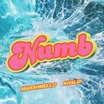 Numb-cover