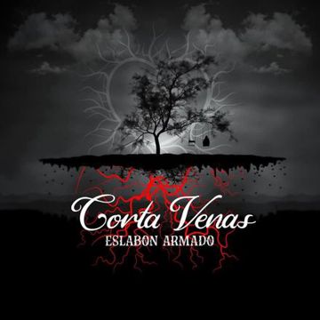 Ando Más Que Mal-cover
