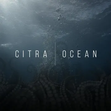 Ocean-cover