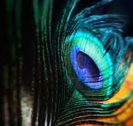 dil e fankaar by sakhi