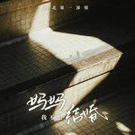 妈我不想结婚了（妈我好累）-cover