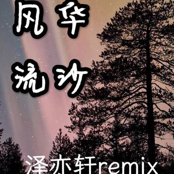 寂寞沙洲冷（泽亦轩 / 安外尔 remix）