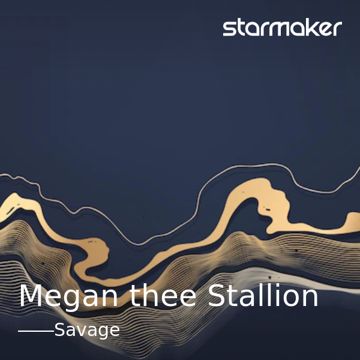 Megan thee Stallion-cover