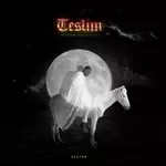 Insomnia-cover
