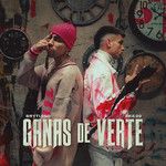Ganas de Verte-cover