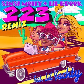 223 Remix-cover