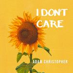 I Don't Care(Acoustic)-cover