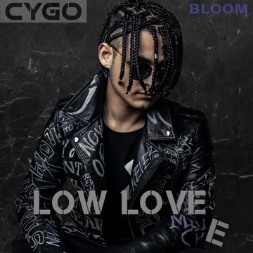 Снегири-cover