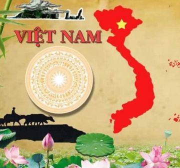 mr777-t-nc-ti-cover-image