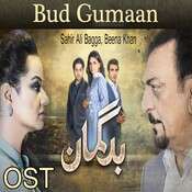 Ye Mumkin To Nahi Jo Dil-cover