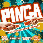 Pinga(Extended Mix)(Extended Version)-cover