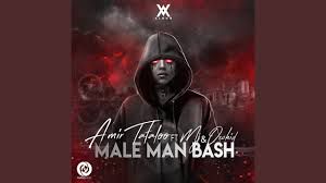 Male Man Bash-cover