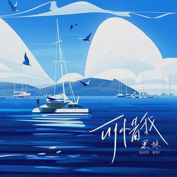 可惜我-cover