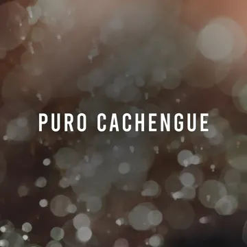 Piyala-cover