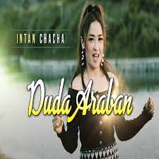 Duda Araban (Remix Koplo Vers.)-cover