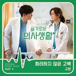 화려하지 않은 고백-cover