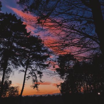 I'm worried about you-cover