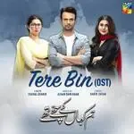 Tere Bin (Hum Kahan Ke Sachay Thy OST)-cover