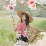 翠花-cover