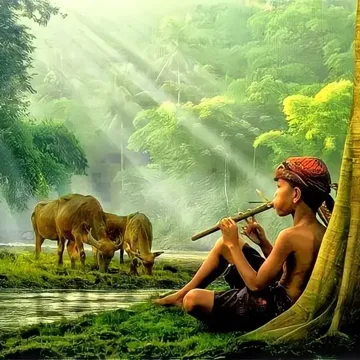 coveImg
