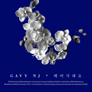 헤어지래요-cover