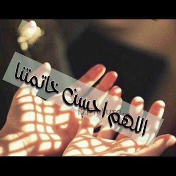 رايح فين يا حج-cover