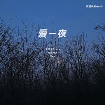 爱一夜-cover