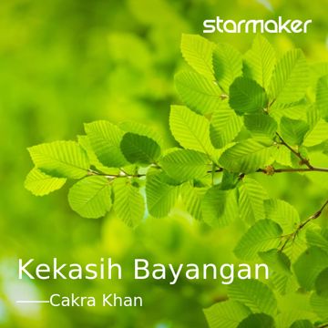 Kekasih Bayangan-cover