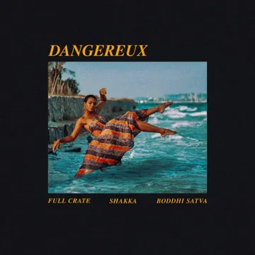 Dangereux-cover