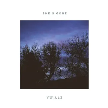 She's Gone-cover